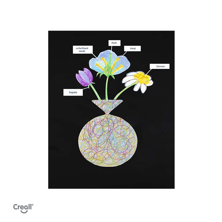 lesson-plan-field-flowers