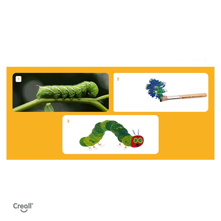 lesson-plan-the-very-hungry-caterpillar-step-by-step-instructions